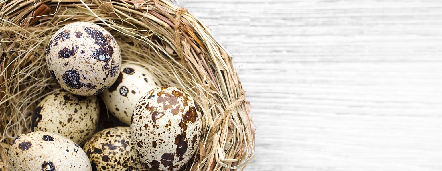 Investment Services Simmons Bank