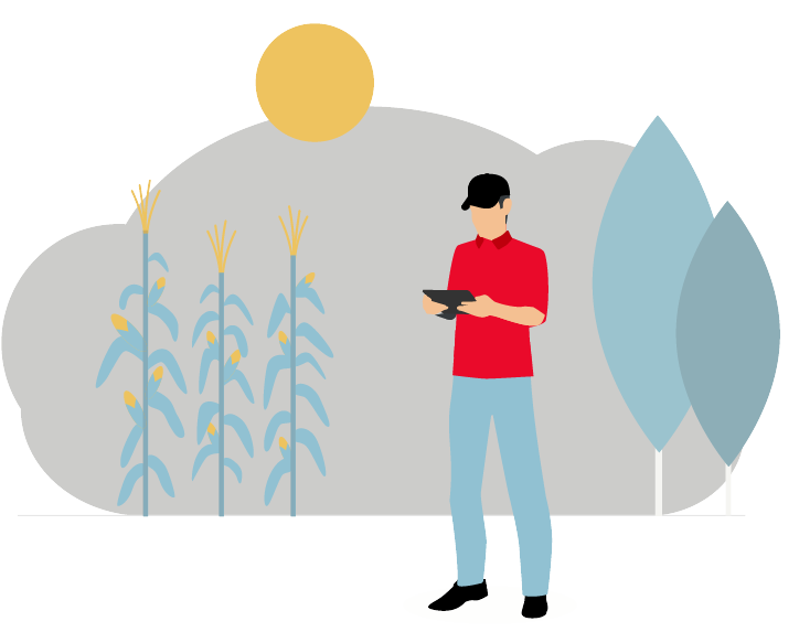 illustration-agri-corn.png